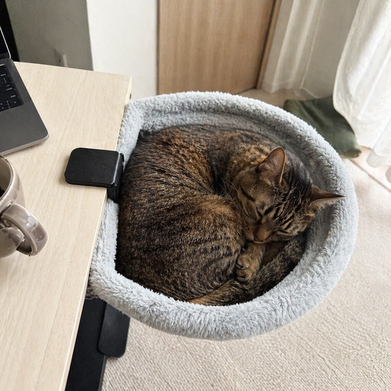 愛猫家の、ごろり