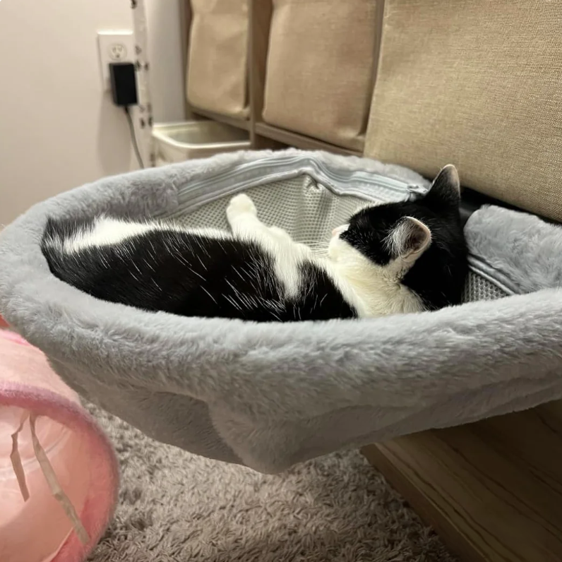 愛猫家の、ごろり